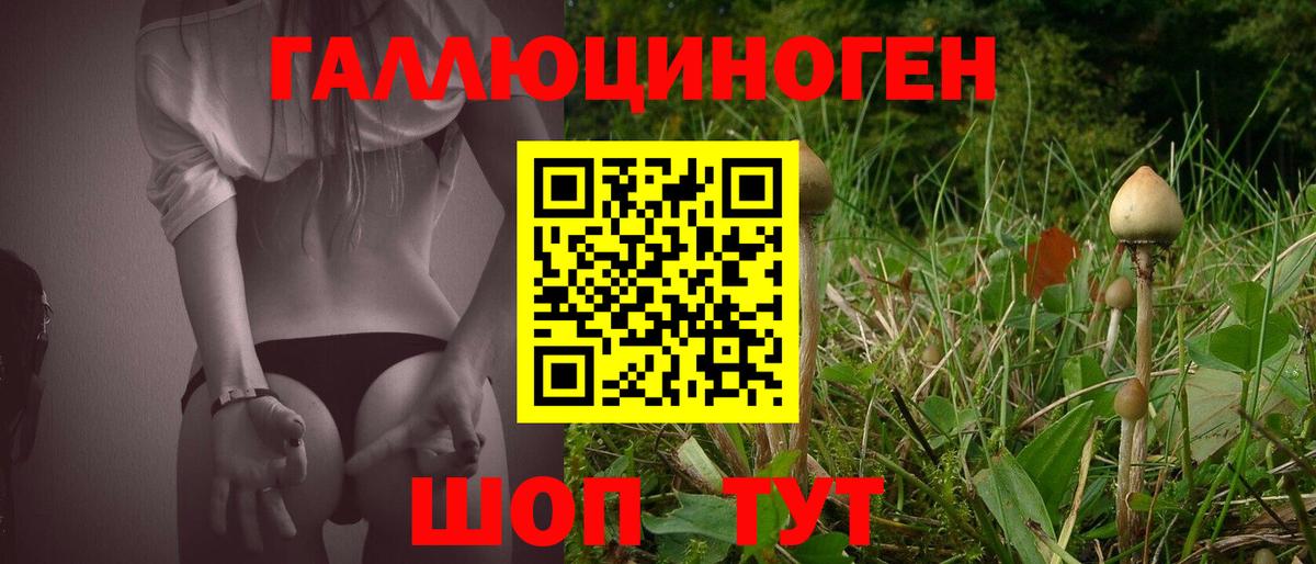 Сорочинск  Псилоцибиновые грибы прущие грибы  Вход с VPN 