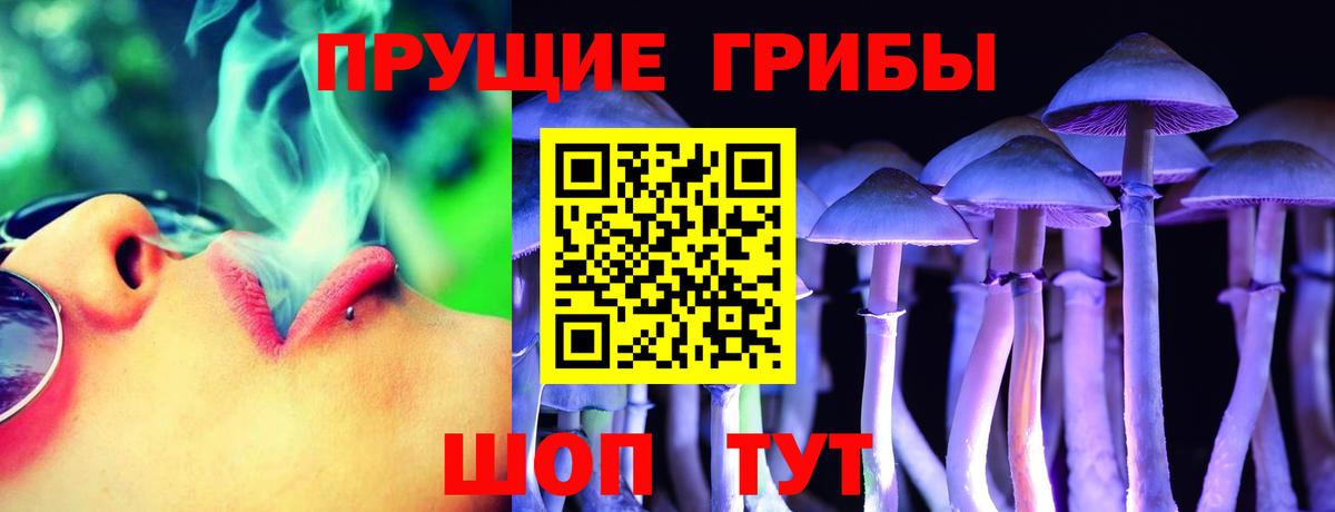 Псилоцибиновые грибы мицелий Сорочинск